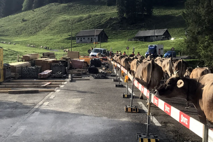 Sanierung der Steinfluebrücke durch die STUTZ AG<br>