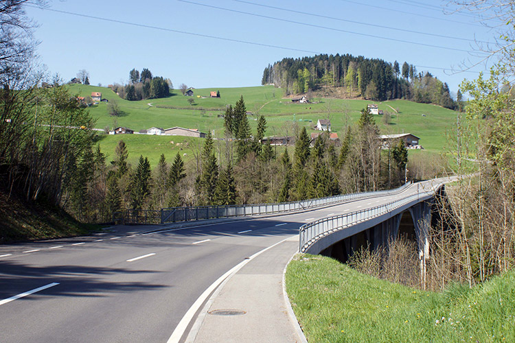 Instandsetzung Gmündertobelbrücke Stein – Teufen